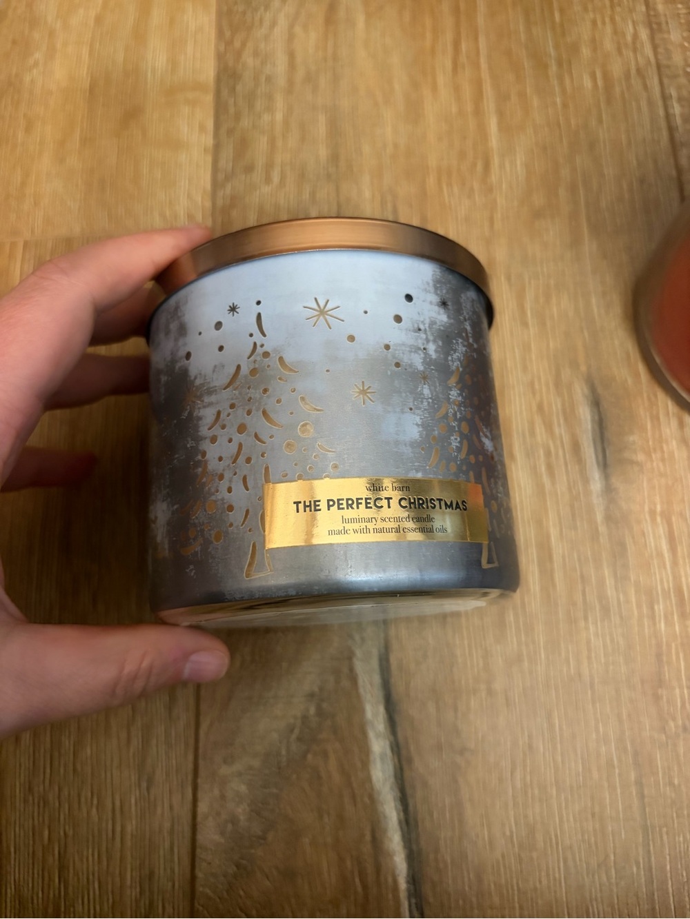 Bath & Body Works Metallic Silver & Gold Holiday Jar Candle